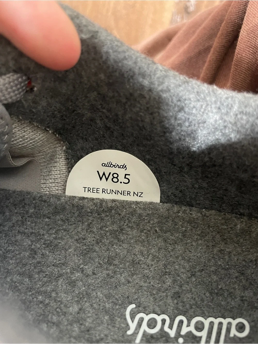 Tree Runner NZ by allbirds in Color Blizzard